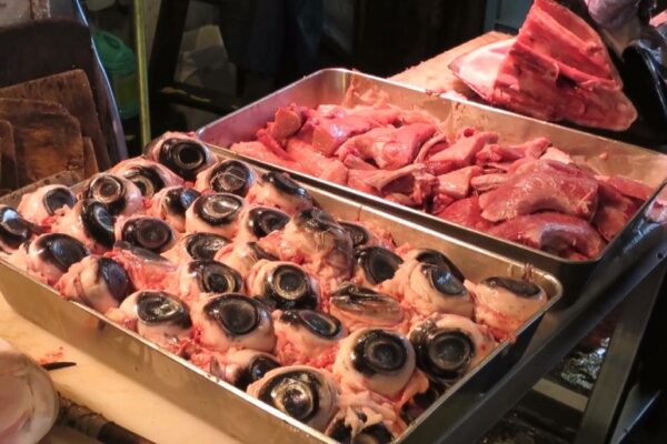 Bola Mata Ikan Tuna: Keunikan dan Petualangan Kuliner Ekstrem